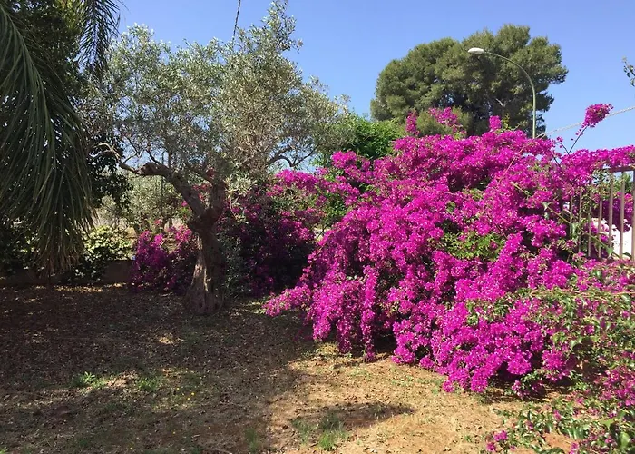 La Casa Di Marta 3* 马里内拉