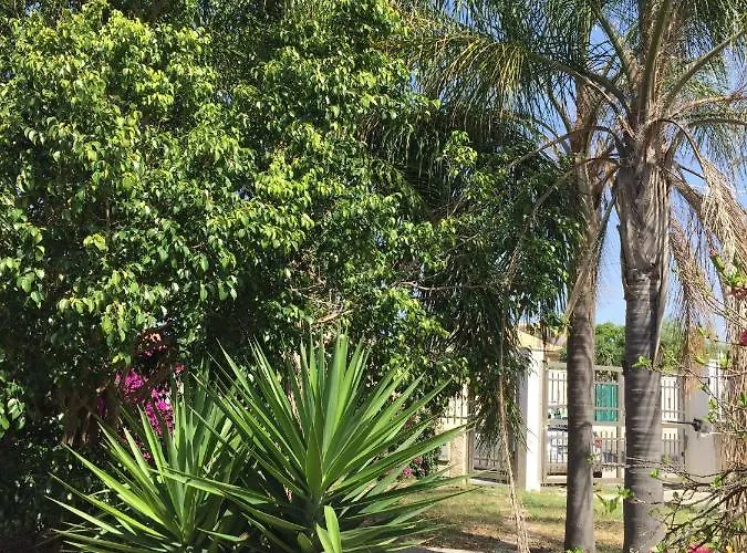 住宿加早餐酒店 La Casa Di Marta 马里内拉