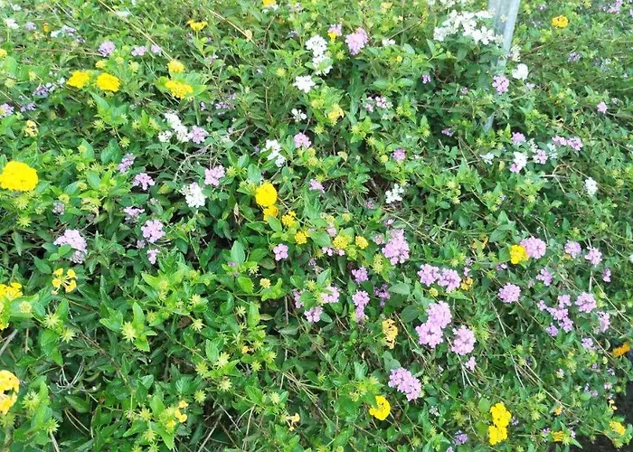 La Casa Di Marta 住宿加早餐酒店