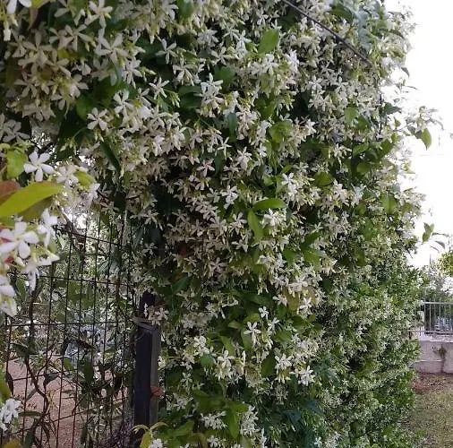 住宿加早餐酒店 La Casa Di Marta